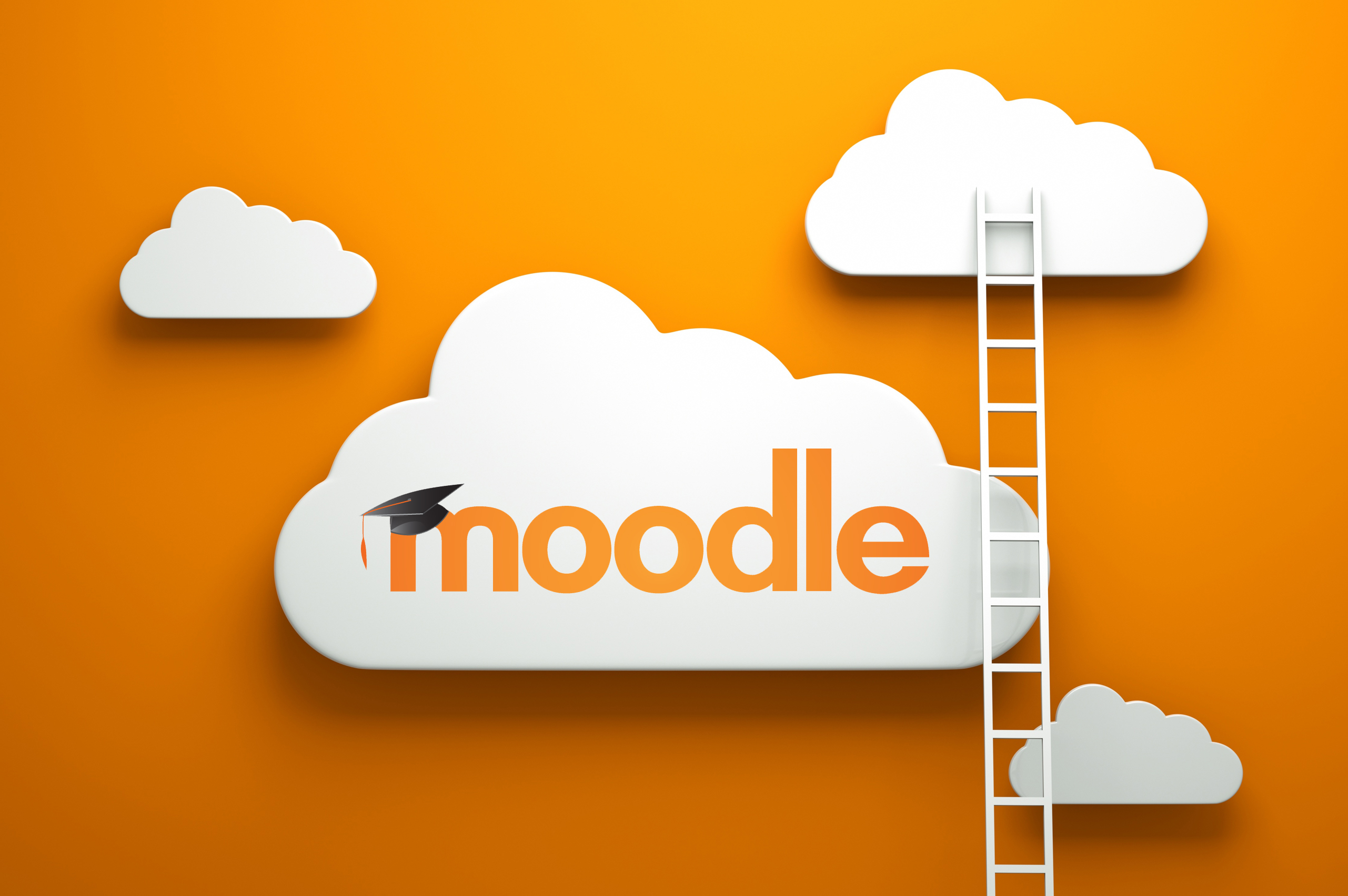 moodle-Feltex01