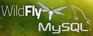 Configurar um Datasource no Servidor Wildfly