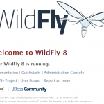 Configuração de acesso a console do wildFly